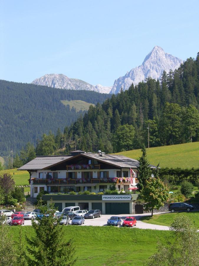 Apartment - Ferienwohnung Elisabeth Radstadt Dış mekan fotoğraf